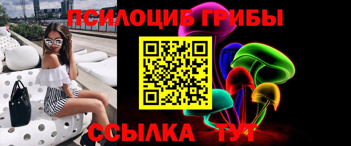 Галлюциногенные грибы MAGIC MUSHROOMS  хочу наркоту  Великий Устюг  Вход с VPN 