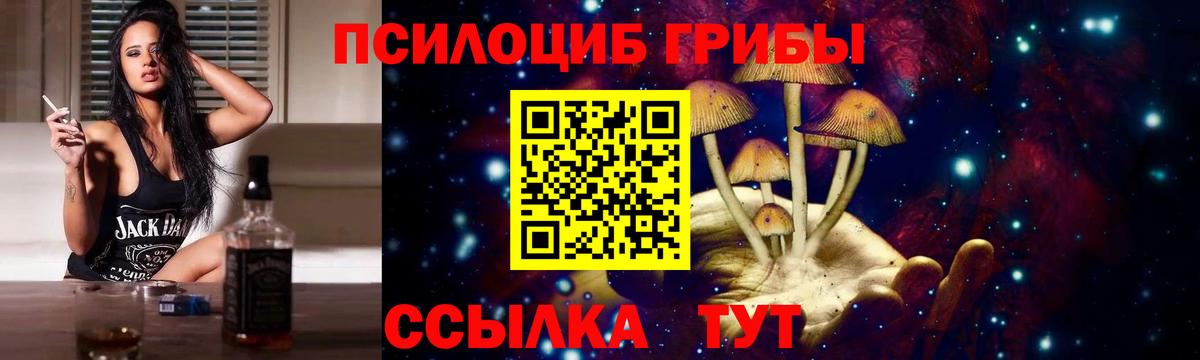 Псилоцибиновые грибы мухоморы Великий Устюг