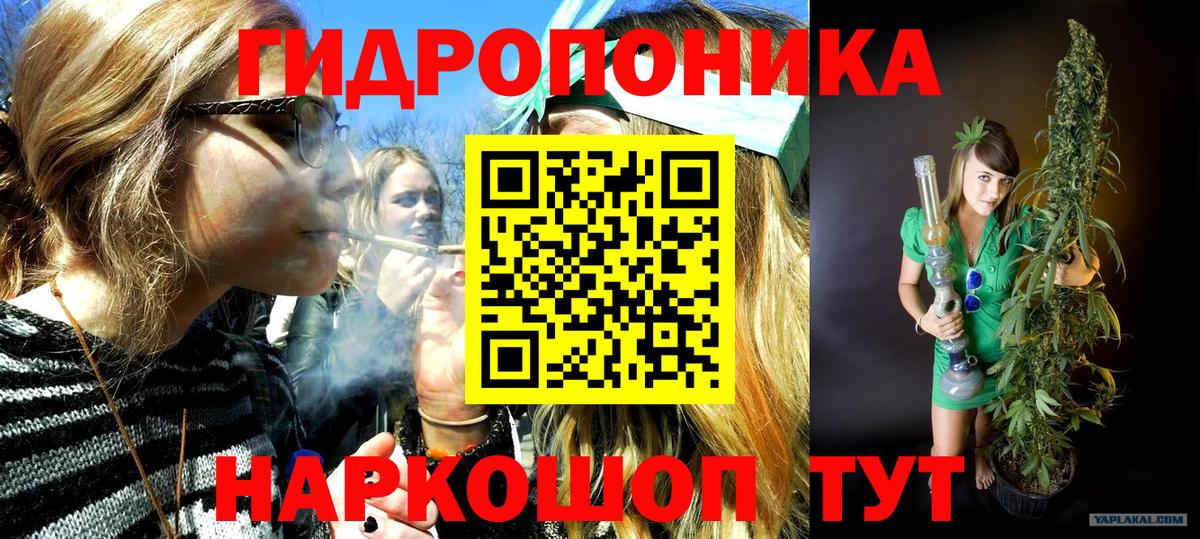Бошки марихуана Bruce Banner Великий Устюг