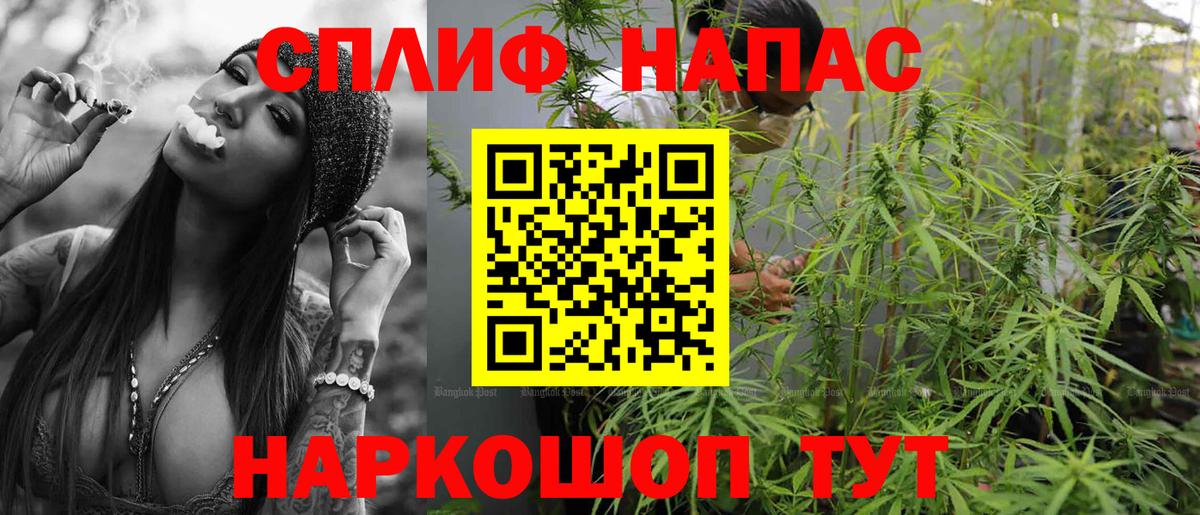 Шишки марихуана планчик  Канабис планчик  Вход с VPN  Великий Устюг 